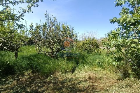 Villa i Alenquer, Lisbon, Alenquer - € 95.000 | Ref: MTM6883 - foto 16
