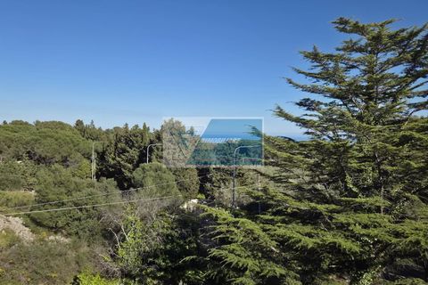 Villa i Avola, Siracusa, Avola - € 300.000 | Ref: AV VCAM 08 - foto 4