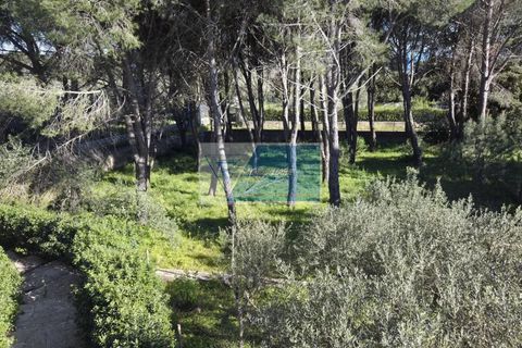 Villa i Avola, Siracusa, Avola - € 300.000 | Ref: AV VCAM 08 - foto 6