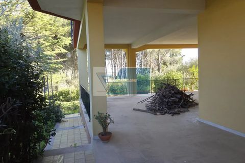 Villa i Avola, Siracusa, Avola - € 300.000 | Ref: AV VCAM 08 - foto 14