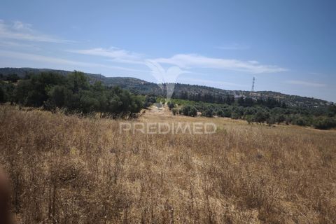 Farm hus i Albufeira, Faro, Albufeira - € 499.000 | Ref: 059816 - foto 1