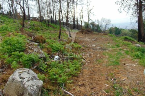 Helårsgrund i Vila Real, Vila Real, Vila Real - € 125.000 | Ref: 059819 - foto 3