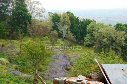 Helårsgrund i Vila Real, Vila Real, Vila Real - € 125.000 | Ref: 059819 - foto 9