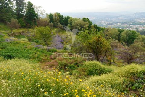 Helårsgrund i Vila Real, Vila Real, Vila Real - € 125.000 | Ref: 059819 - foto 12