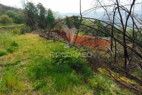 Helårsgrund i Vila Real, Vila Real, Vila Real - € 125.000 | Ref: 059819 - foto 22