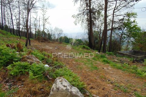 Helårsgrund i Vila Real, Vila Real, Vila Real - € 125.000 | Ref: 059819 - foto 30