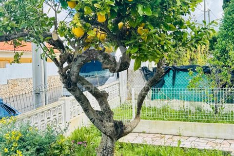 Byhus i Albufeira, Faro, Albufeira - € 492.000 | Ref: 059826 - foto 6