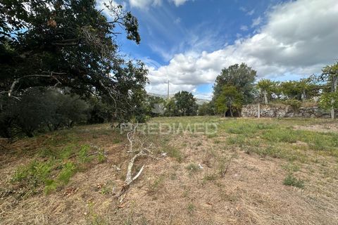 Farm hus i Ponte de Lima, Viana do Castelo, Ponte de Lima - € 450.000 | Ref: 059832 - foto 5