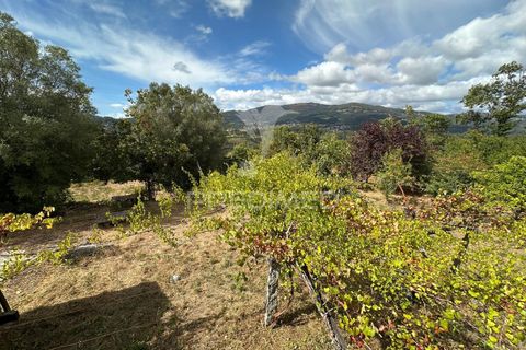 Farm hus i Ponte de Lima, Viana do Castelo, Ponte de Lima - € 450.000 | Ref: 059832 - foto 7