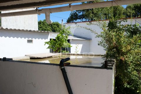 Byhus i Ponte de Sor, Portalegre, Ponte de Sor - € 350.000 | Ref: 059874 - foto 5