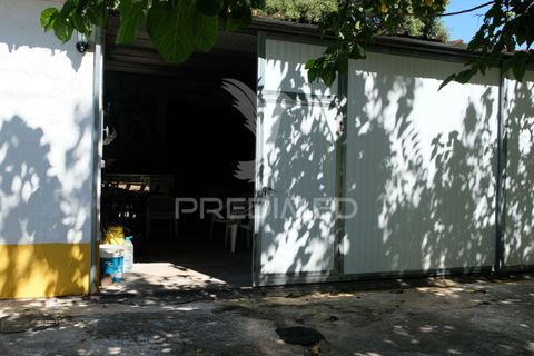Byhus i Ponte de Sor, Portalegre, Ponte de Sor - € 350.000 | Ref: 059874 - foto 7