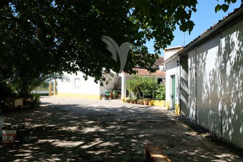 Byhus i Ponte de Sor, Portalegre, Ponte de Sor - € 350.000 | Ref: 059874 - foto 6