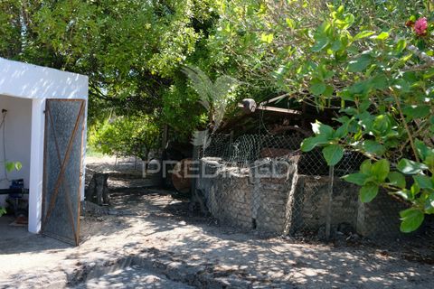 Byhus i Ponte de Sor, Portalegre, Ponte de Sor - € 350.000 | Ref: 059874 - foto 28