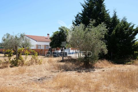 Byhus i Ponte de Sor, Portalegre, Ponte de Sor - € 350.000 | Ref: 059874 - foto 29