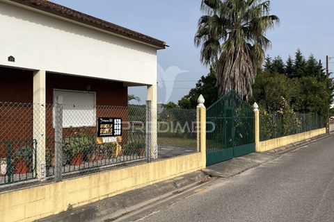 Byhus i Ponte de Sor, Portalegre, Ponte de Sor - € 350.000 | Ref: 059874 - foto 1