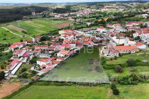 Tomt i Mealhada, Aveiro, Mealhada - € 82 000 | Ref: ZMPT587690 - foto 2