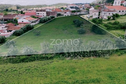 Tomt i Mealhada, Aveiro, Mealhada - € 82 000 | Ref: ZMPT587690 - foto 3