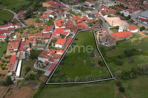 Tomt i Mealhada, Aveiro, Mealhada - € 82 000 | Ref: ZMPT587690 - foto 7