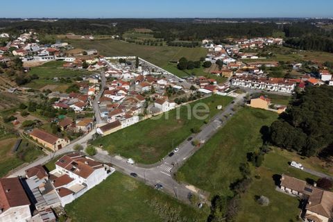 Helårsgrund i Anadia, Aveiro, Anadia - € 45.000 | Ref: ZMPT587558 - foto 13