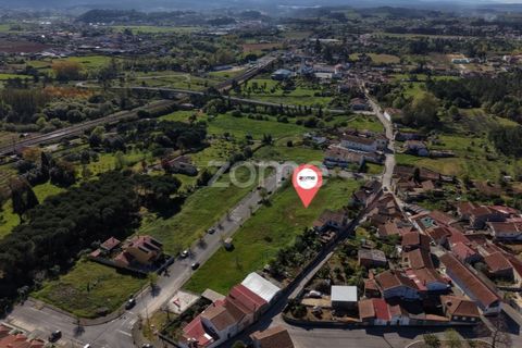 Helårsgrund i Anadia, Aveiro, Anadia - € 45.000 | Ref: ZMPT587558 - foto 9