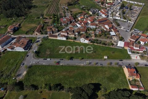 Helårsgrund i Anadia, Aveiro, Anadia - € 45.000 | Ref: ZMPT587558 - foto 10