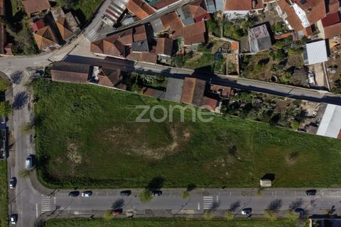 Helårsgrund i Anadia, Aveiro, Anadia - € 45.000 | Ref: ZMPT587558 - foto 11