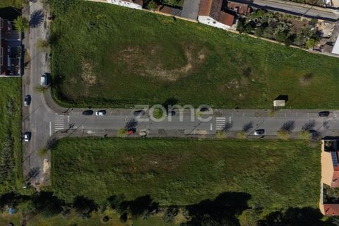 Helårsgrund i Anadia, Aveiro, Anadia - € 45.000 | Ref: ZMPT587558 - foto 12