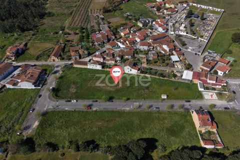 Helårsgrund i Anadia, Aveiro, Anadia - € 45.000 | Ref: ZMPT587558 - foto 2