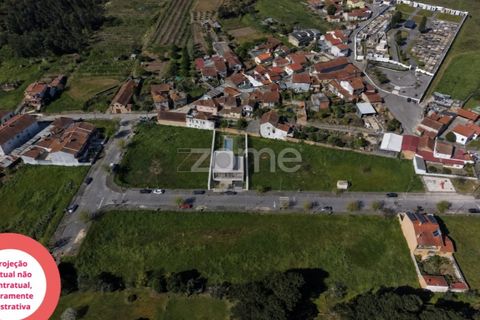 Helårsgrund i Anadia, Aveiro, Anadia - € 45.000 | Ref: ZMPT587558 - foto 5