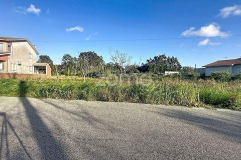 Helårsgrund i Cantanhede, Coimbra, Cantanhede - € 37.500 | Ref: ZMPT587565 - foto 2
