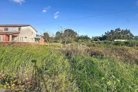 Helårsgrund i Cantanhede, Coimbra, Cantanhede - € 37.500 | Ref: ZMPT587565 - foto 4
