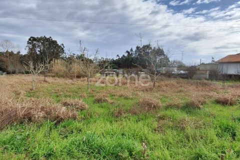 Helårsgrund i Cantanhede, Coimbra, Cantanhede - € 37.500 | Ref: ZMPT587565 - foto 8