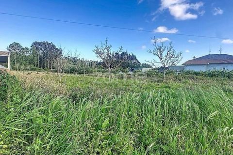Helårsgrund i Cantanhede, Coimbra, Cantanhede - € 37.500 | Ref: ZMPT587565 - foto 9