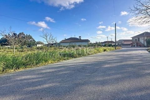 Helårsgrund i Cantanhede, Coimbra, Cantanhede - € 37.500 | Ref: ZMPT587565 - foto 10
