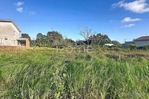 Helårsgrund i Cantanhede, Coimbra, Cantanhede - € 37.500 | Ref: ZMPT587565 - foto 11