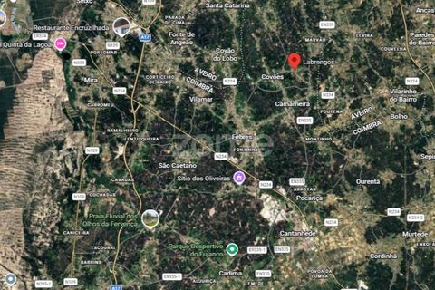 Helårsgrund i Cantanhede, Coimbra, Cantanhede - € 37.500 | Ref: ZMPT587565 - foto 18
