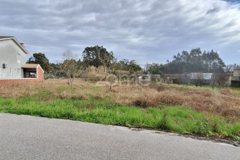 Helårsgrund i Cantanhede, Coimbra, Cantanhede - € 37.500 | Ref: ZMPT587565 - foto 6
