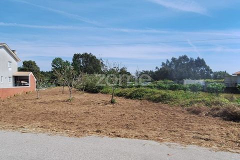 Helårsgrund i Cantanhede, Coimbra, Cantanhede - € 37.500 | Ref: ZMPT587565 - foto 19
