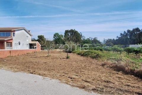 Helårsgrund i Cantanhede, Coimbra, Cantanhede - € 37.500 | Ref: ZMPT587565 - foto 20