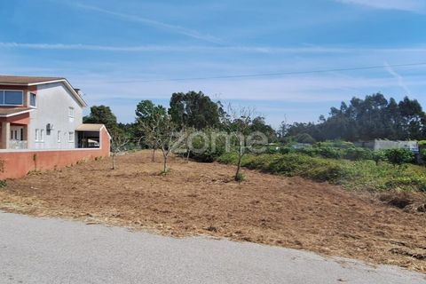 Helårsgrund i Cantanhede, Coimbra, Cantanhede - € 37.500 | Ref: ZMPT587565 - foto 21