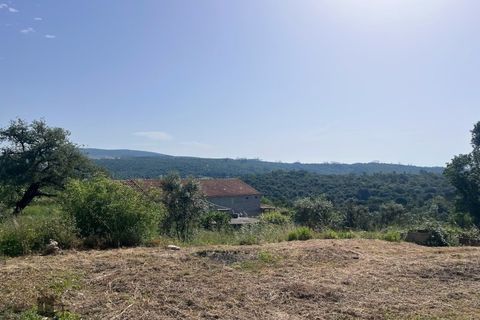 Villa i Pombal, Leiria, Pombal - € 450.000 | Ref: P206/2026 - foto 40
