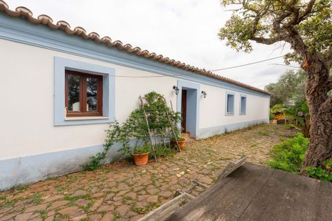 Villa i Albufeira, Faro, Albufeira - € 460.000 | Ref: cdb_m/06270 - foto 1