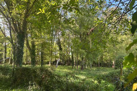 Villa a Sainte-Marie, Ille-et-Vilaine, Sainte-Marie - € 175.000 | Ref: 830037407372 - foto 17