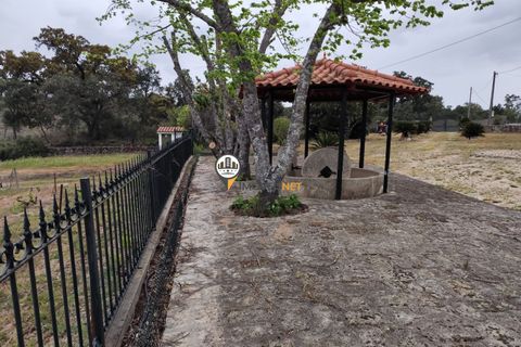 Landejendom i Castelo Branco, Castelo Branco, Castelo Branco - € 400.000 | Ref: 2975 - foto 4