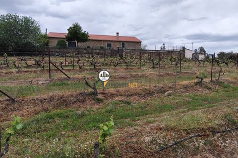 Landejendom i Castelo Branco, Castelo Branco, Castelo Branco - € 400.000 | Ref: 2975 - foto 14
