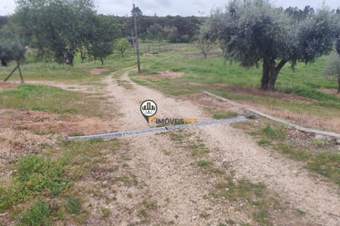Landejendom i Castelo Branco, Castelo Branco, Castelo Branco - € 400.000 | Ref: 2975 - foto 17