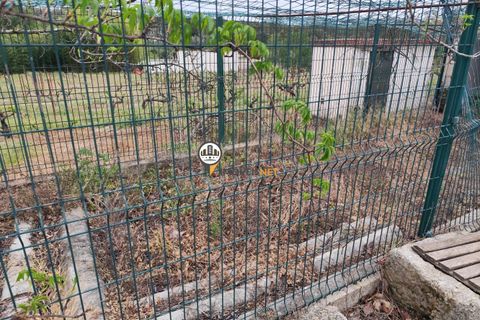 Landejendom i Castelo Branco, Castelo Branco, Castelo Branco - € 400.000 | Ref: 2975 - foto 26