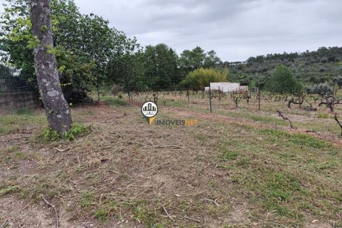 Landejendom i Castelo Branco, Castelo Branco, Castelo Branco - € 400.000 | Ref: 2975 - foto 28