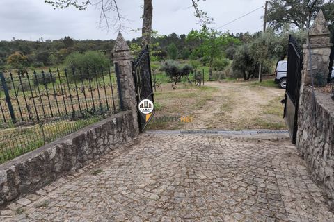 Landejendom i Castelo Branco, Castelo Branco, Castelo Branco - € 400.000 | Ref: 2975 - foto 30