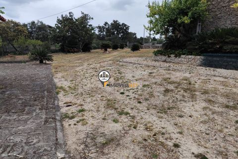 Landejendom i Castelo Branco, Castelo Branco, Castelo Branco - € 400.000 | Ref: 2975 - foto 31